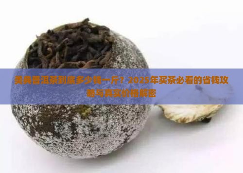 美典普洱茶多少钱一斤