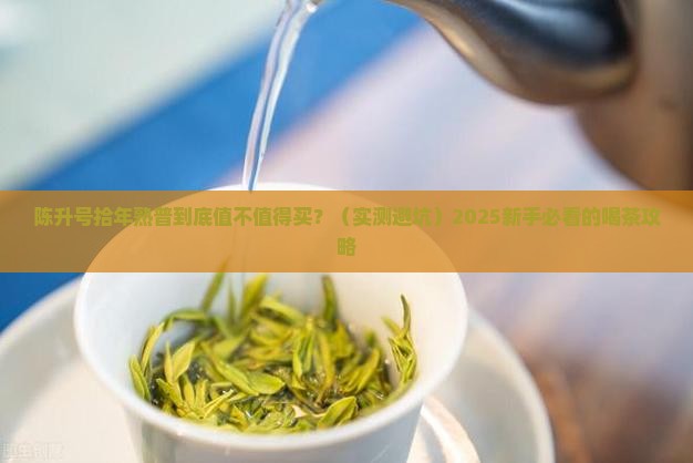 陈升号拾年熟普怎么样
