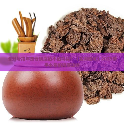 陈升号拾年熟普怎么样