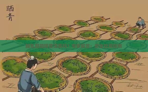 脯乳期能喝普洱茶吗