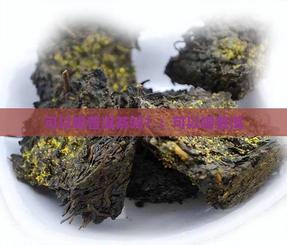 肚脐眼冷可以喝普洱茶吗