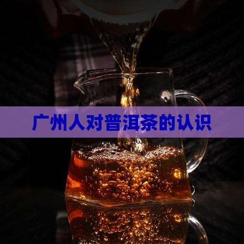 广州人对普洱茶的认识