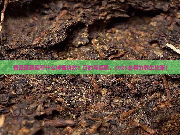 普洱茶都有哪些功效作用与禁忌