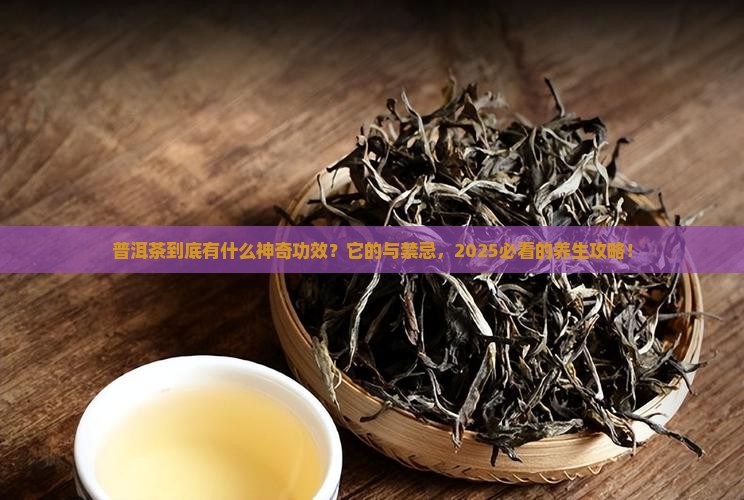 普洱茶都有哪些功效作用与禁忌