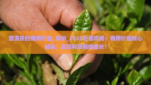 普洱茶的商用价值