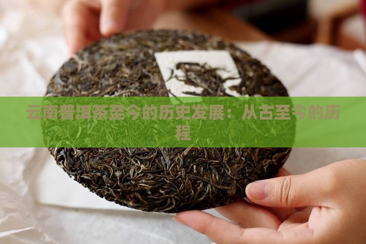 云南普洱茶至今的历史发展