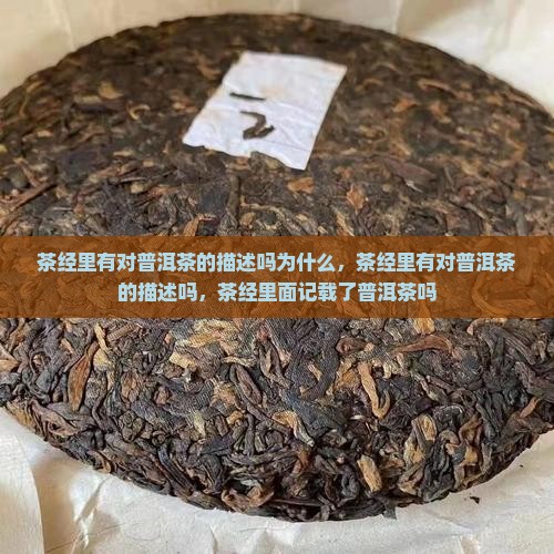 茶经里有对普洱茶的描述吗