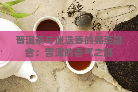 迷迭香加普洱茶