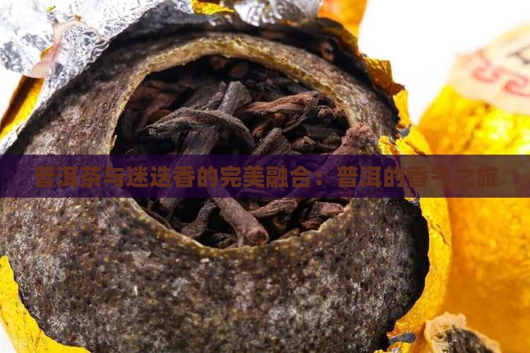 迷迭香加普洱茶