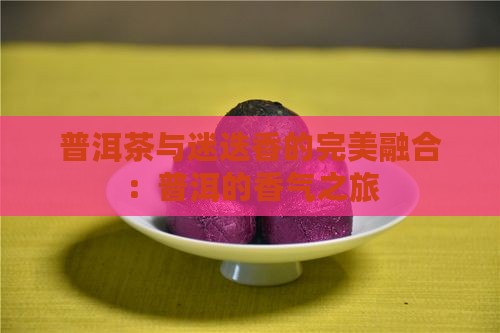 迷迭香加普洱茶