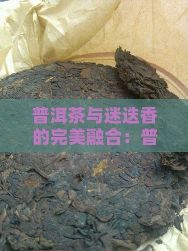 迷迭香加普洱茶