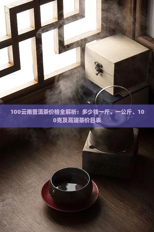 100云南普洱茶