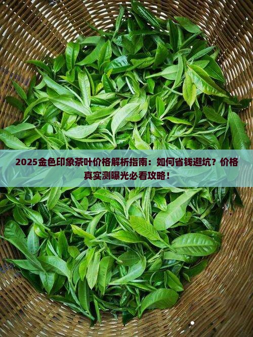 金色印象茶叶价格查询