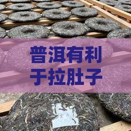 普洱有利于拉肚子吗