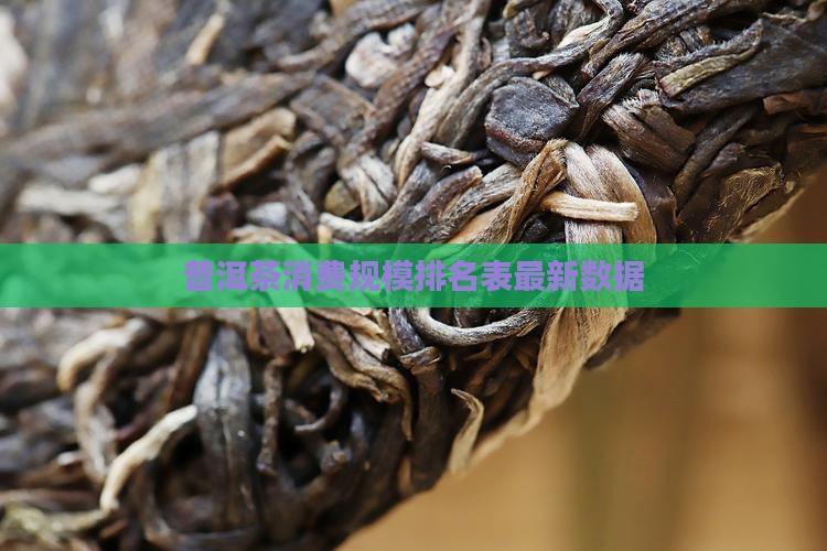 普洱茶消费规模排名表最新