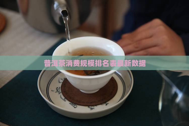 普洱茶消费规模排名表最新