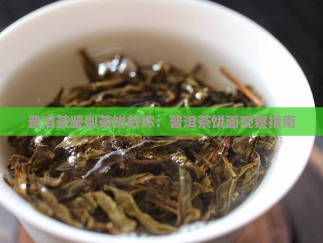 普洱茶怎么看饼面