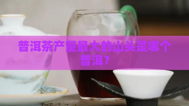 普洱茶产量最大的山头是什么