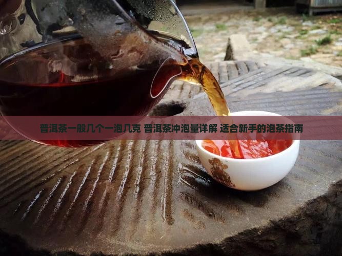 普洱茶一般几个一泡几克