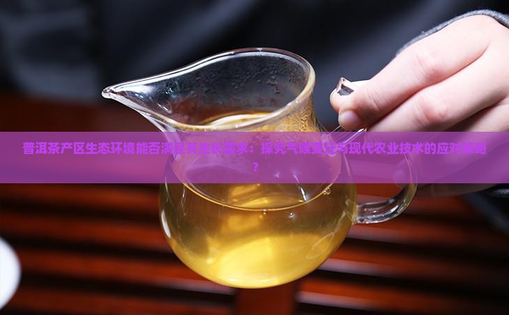 普洱茶产区生态环境能否满足其生长需求：探究气候变迁与现代农业技术的应对策略？