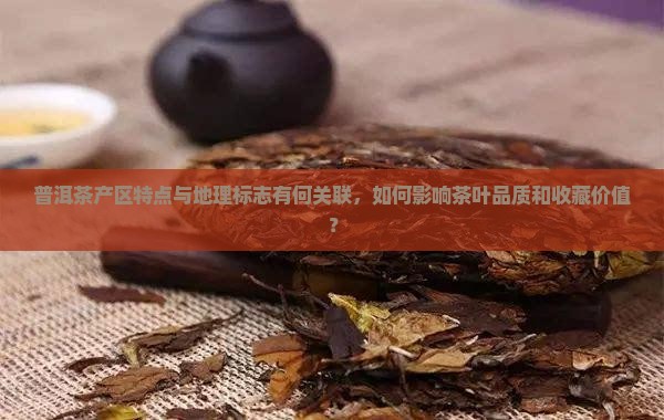 普洱茶产区特点与地理标志有何关联，如何影响茶叶品质和收藏价值？