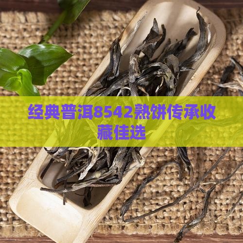 经典普洱8542熟饼传承收藏佳选