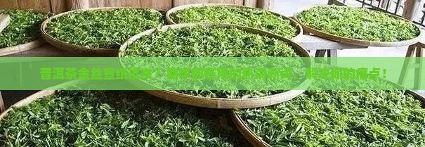 普洱茶金丝宣纸批发？商家都在用的热词新词，解决你的痛点！