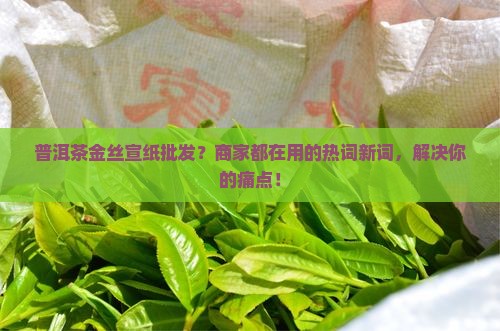 普洱茶金丝宣纸批发？商家都在用的热词新词，解决你的痛点！