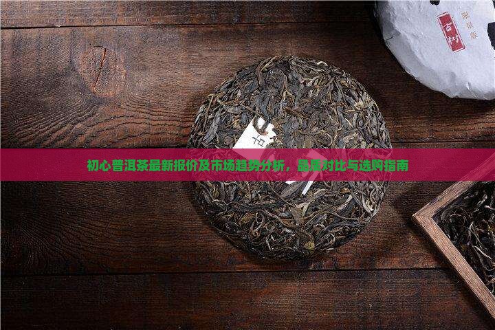 初心普洱茶最新报价及市场趋势分析，品质对比与选购指南