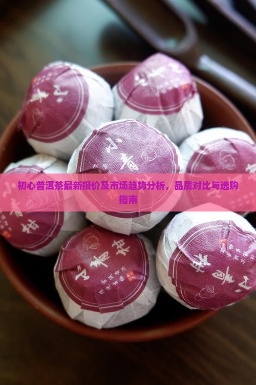 初心普洱茶最新报价及市场趋势分析，品质对比与选购指南