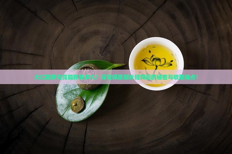大红袍茶究竟能存放多久？探究保质期长短背后的秘密与收藏痛点！