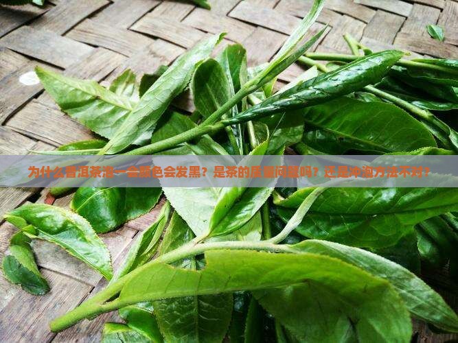 为什么普洱茶泡一会颜色会发黑？是茶的质量问题吗？还是冲泡方法不对？