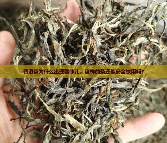 普洱茶为什么出现酸味儿，这样的茶还能安全饮用吗？