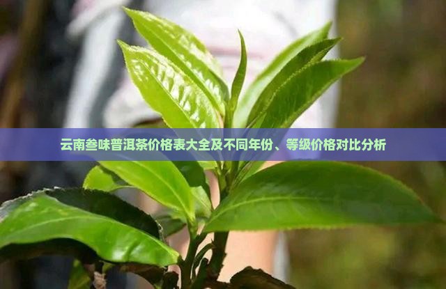 云南叁味普洱茶价格表大全及不同年份、等级价格对比分析