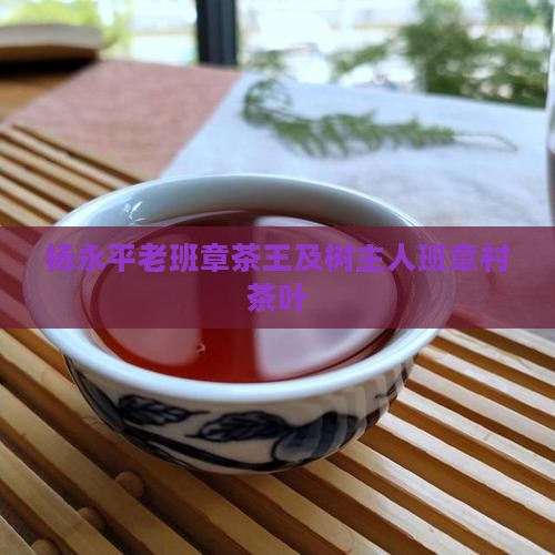 杨永平老班章茶王及树主人班章村茶叶