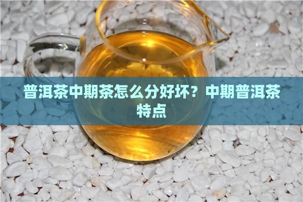 普洱茶中期茶怎么分好坏？中期普洱茶特点
