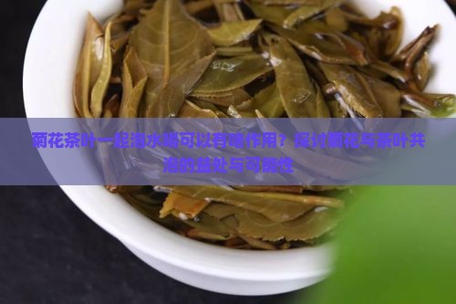 菊花茶叶一起泡水喝可以有啥作用？探讨菊花与茶叶共泡的益处与可能性