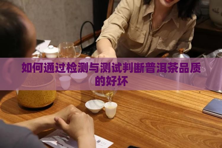 如何通过检测与测试判断普洱茶品质的好坏