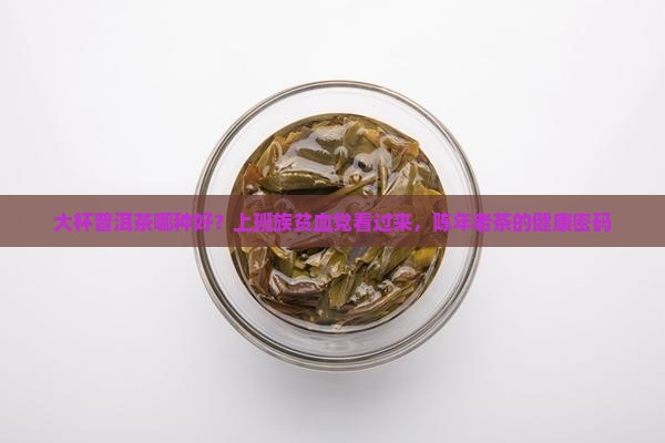 大杯普洱茶哪种好？上班族贫血党看过来，陈年老茶的健康密码