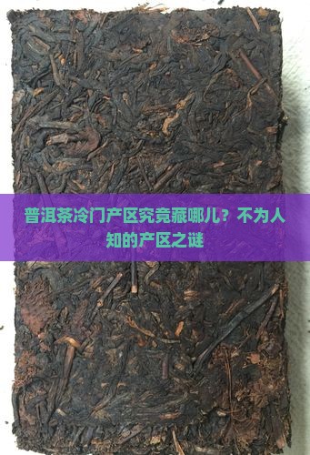 普洱茶冷门产区究竟藏哪儿？不为人知的产区之谜
