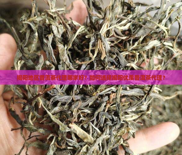 揭阳地区普洱茶代理哪家好？如何选择揭阳优质普洱茶代理？