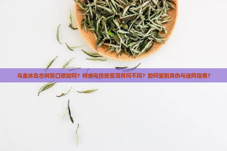 乌金冰岛古树茶口感如何？特点与传统普洱有何不同？如何鉴别真伪与选购指南？