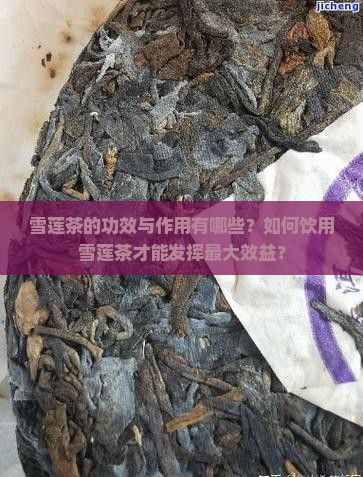 雪莲茶的功效与作用有哪些？如何饮用雪莲茶才能发挥最大效益？