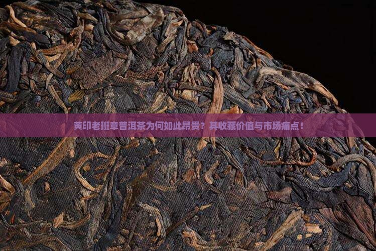 黄印老班章普洱茶为何如此昂贵？其收藏价值与市场痛点！