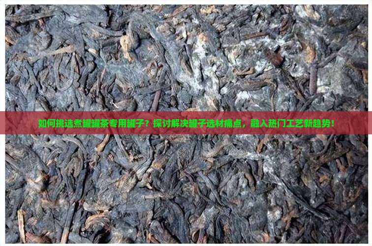 如何挑选煮罐罐茶专用罐子？探讨解决罐子选材痛点，融入热门工艺新趋势！