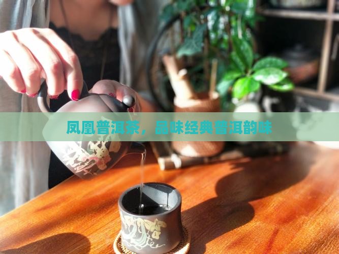 凤凰普洱茶，品味经典普洱韵味