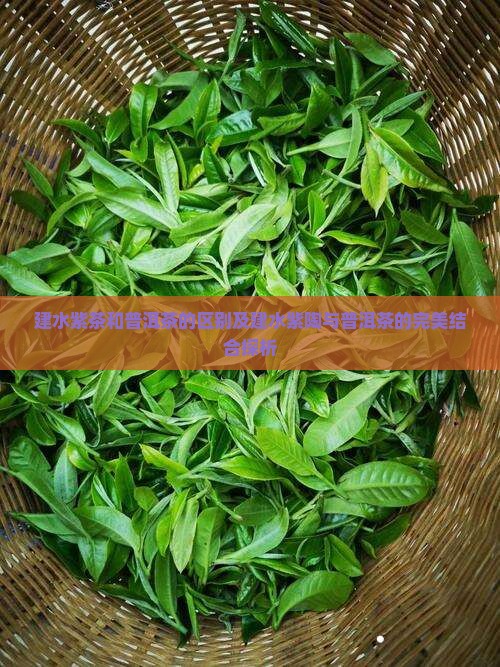 建水紫茶和普洱茶的区别及建水紫陶与普洱茶的完美结合探析