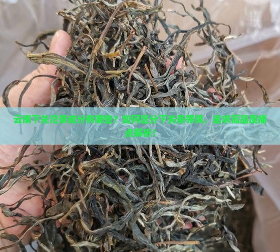 云南下关沱茶成分有哪些？如何区分下关茶等级，追求高品质痛点解析！