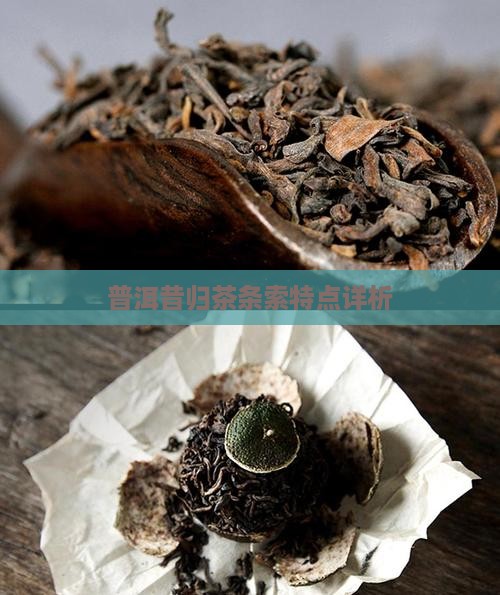 普洱昔归茶条索特点详析