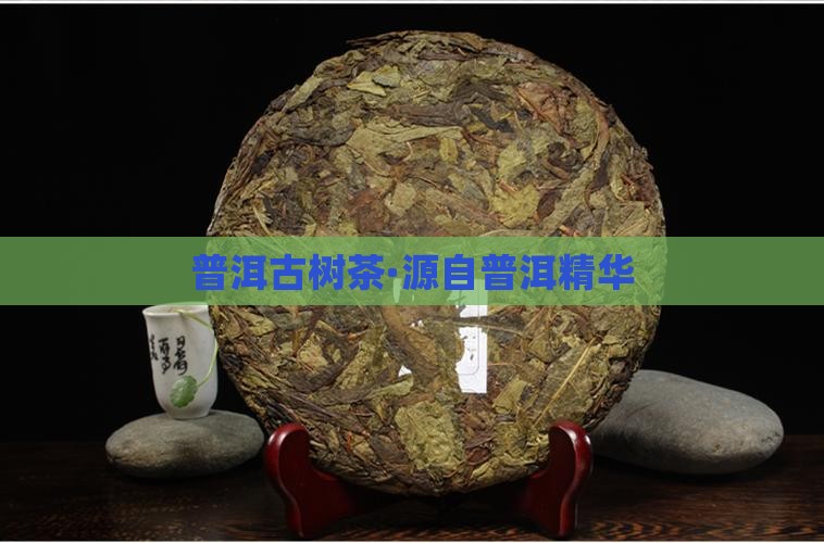 普洱古树茶·源自普洱精华